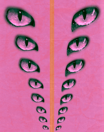 meredith pritchard repeated cat eyes on pink background